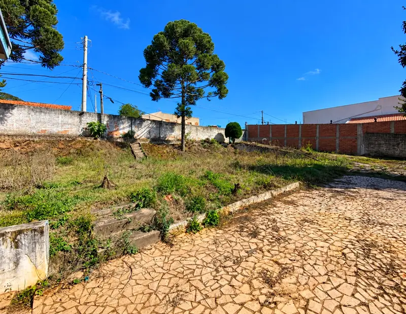 Entrada com piso de pedra, araucária e área gramada